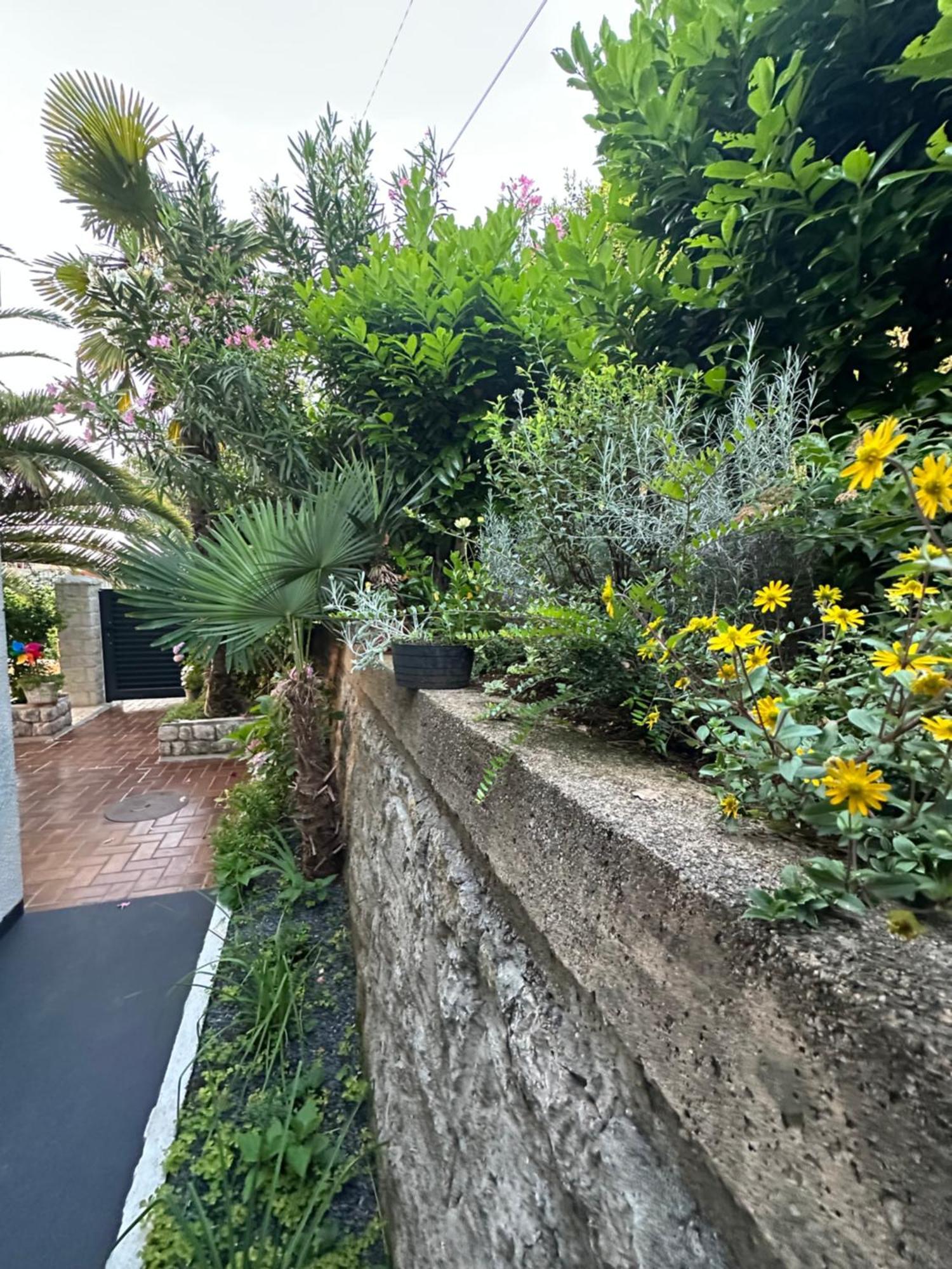 Vacation Home Lucija Slatina  Εξωτερικό φωτογραφία