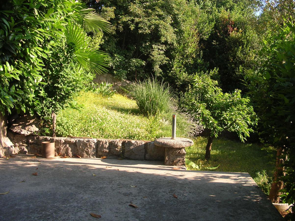 Vacation Home Lucija Slatina  Εξωτερικό φωτογραφία