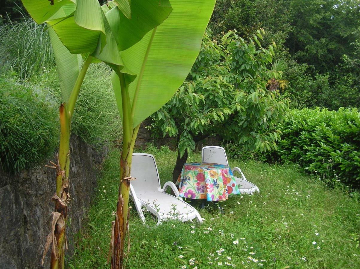 Vacation Home Lucija Slatina  Εξωτερικό φωτογραφία